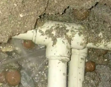 东川测漏水多少钱