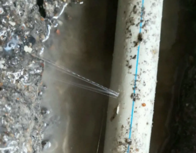 东川测漏水哪家好