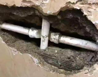 东川测漏水哪家好