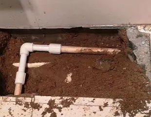 东川测漏水哪家好