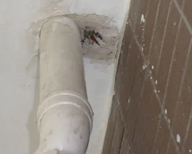 东川漏水检测哪家好